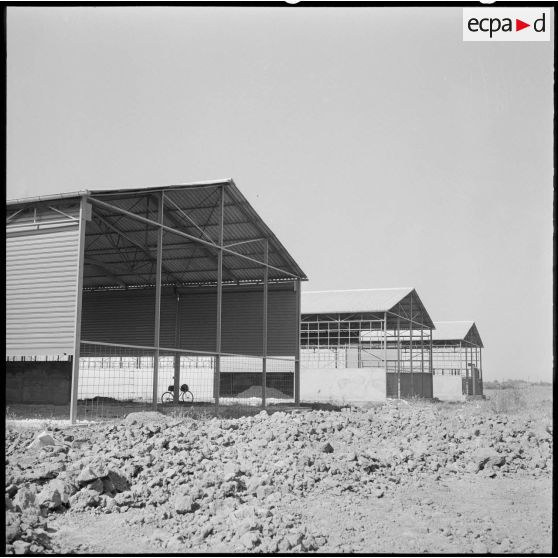 Hangars en construction.