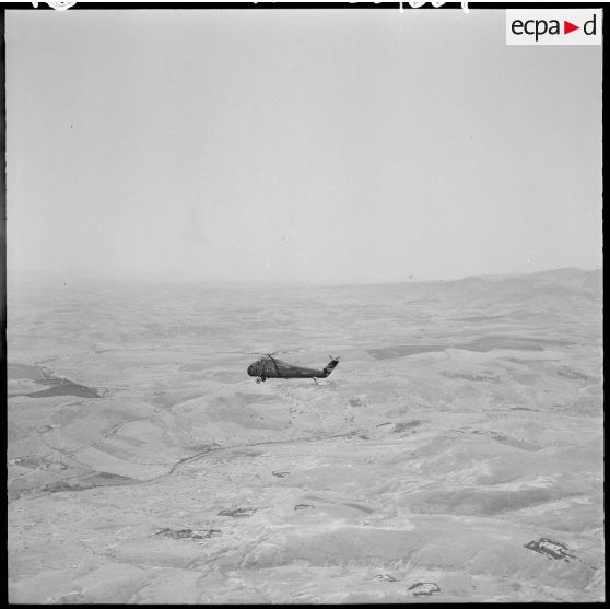 Un hélicoptère Sikorsky en vol dans la région de l'Oranais.