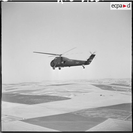 Un hélicoptère Sikorsky en vol dans la région de Zenata.