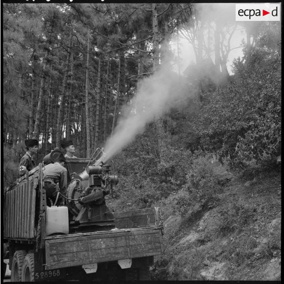 Alger. Désinfection par le service de santé.