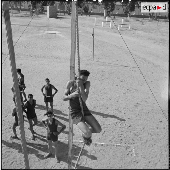 Exercices physiques à l'école des jeunes bâtisseurs de Cherchell.