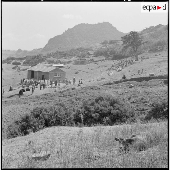 Région d'Alger. Rassemblement de population.