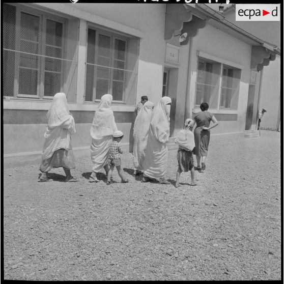 Algérie. Journée d'élections.