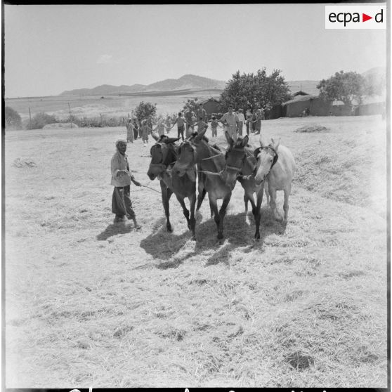 Aumale. Quartier de Labarraque.