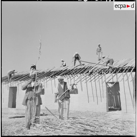 Aumale, quartier de Labarraque. Construction des nouvelles habitations.