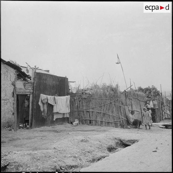Région d'Alger. Un bidonville.