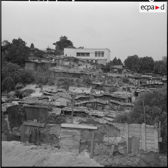 Alger. Les anciens bidonvilles.
