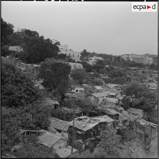 Alger. Les anciens bidonvilles.
