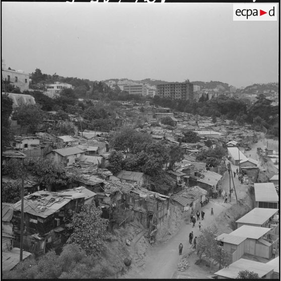 Alger. Les anciens bidonvilles.