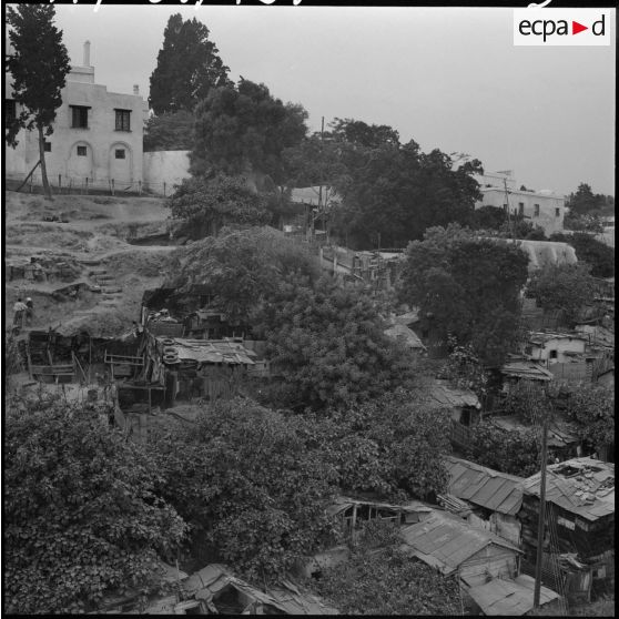 Alger. Les anciens bidonvilles.