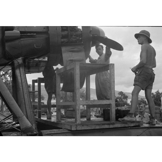 La maintenance d'un hydravion Arado Ar-196 immatriculé D1+GL du Aufklärungsgruppe.126.