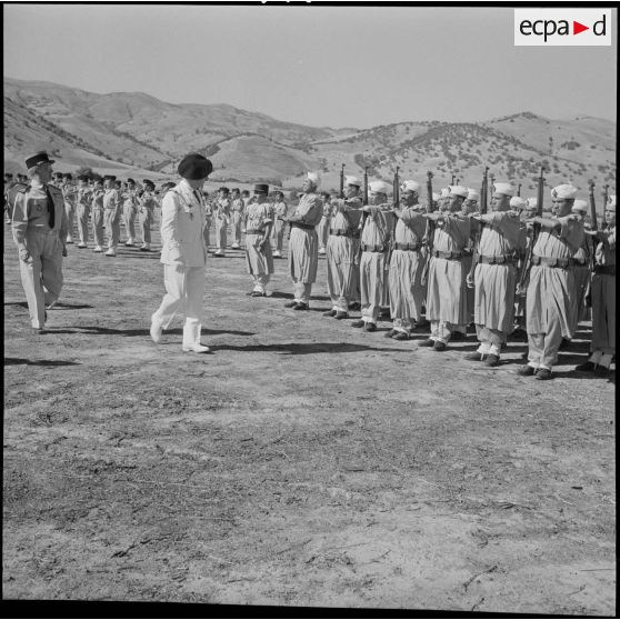 Palestro. Revue des troupes.