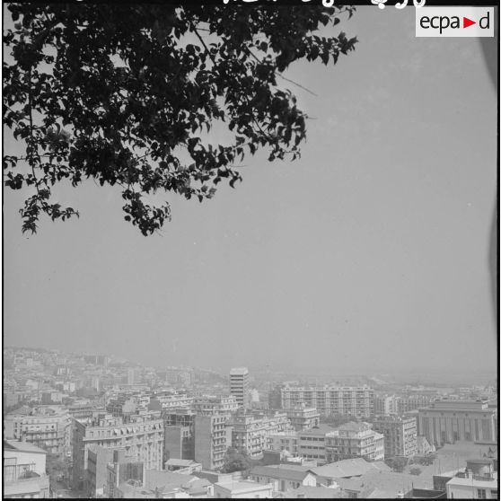 Vue d'Alger.