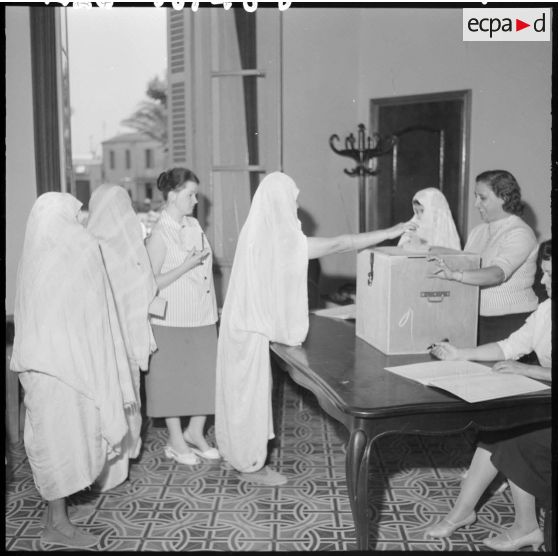 Mitidja. Première journée du référendum.