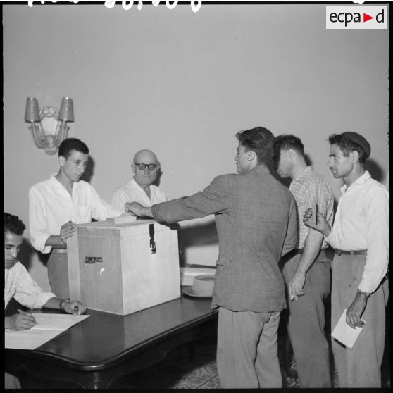 Mitidja. Première journée du référendum.