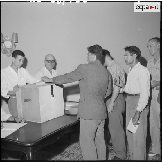 Mitidja. Première journée du référendum.