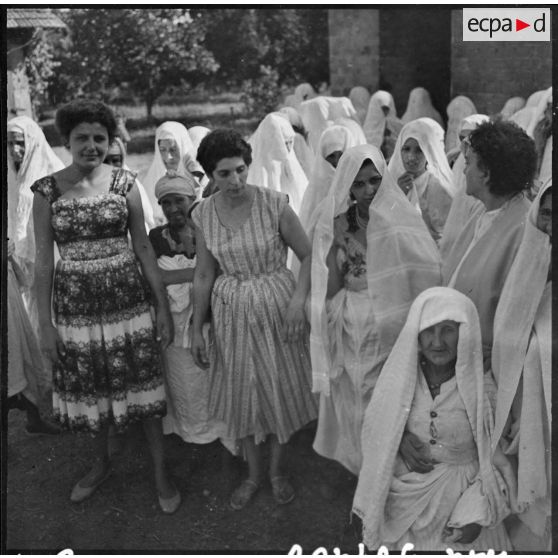 Mitidja. Première journée du référendum.