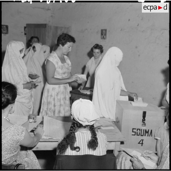 Mitidja. Première journée du référendum.