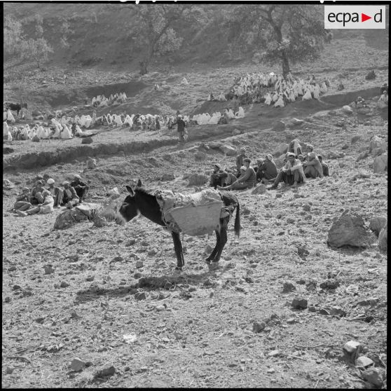 Sidi-Simiane. Le bureau de vote.