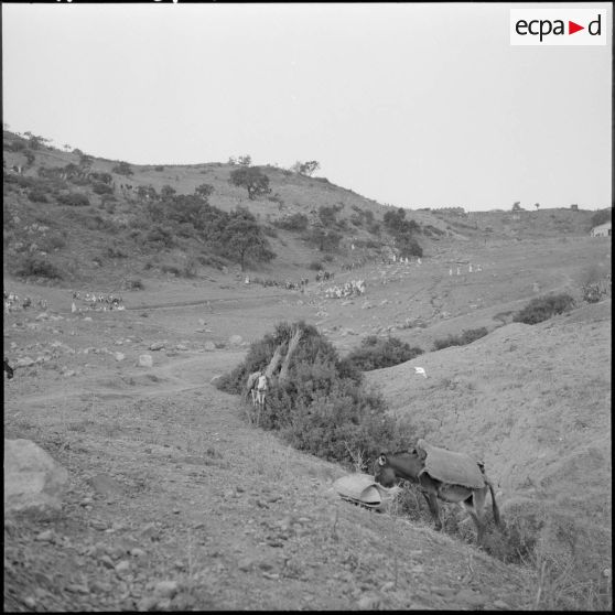 Le référendum à Sidi-Simiane.