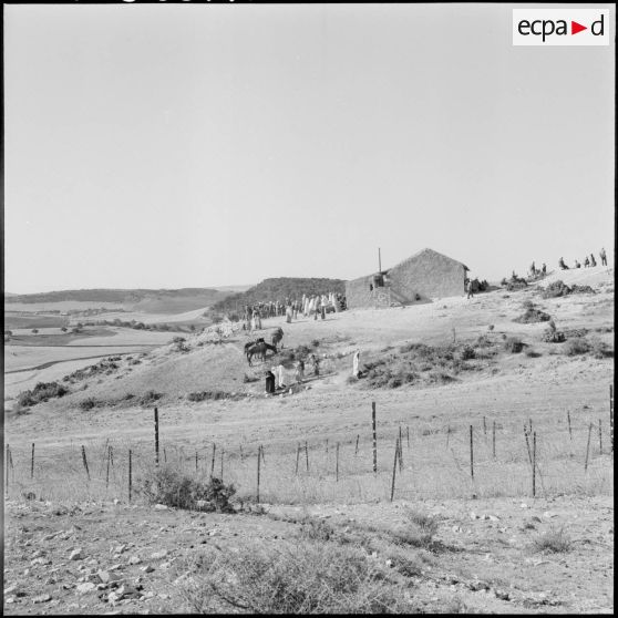 Elections dans l'est constantinois.