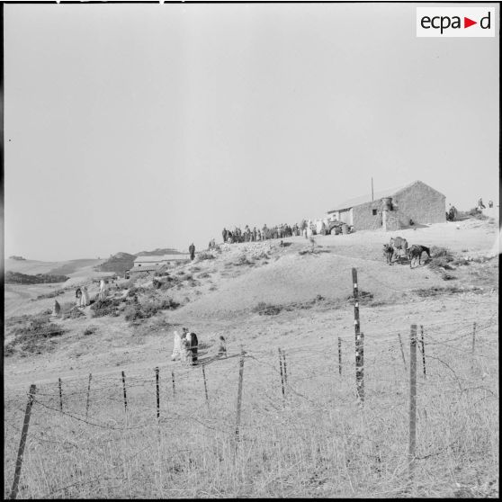 Elections dans l'est constantinois.