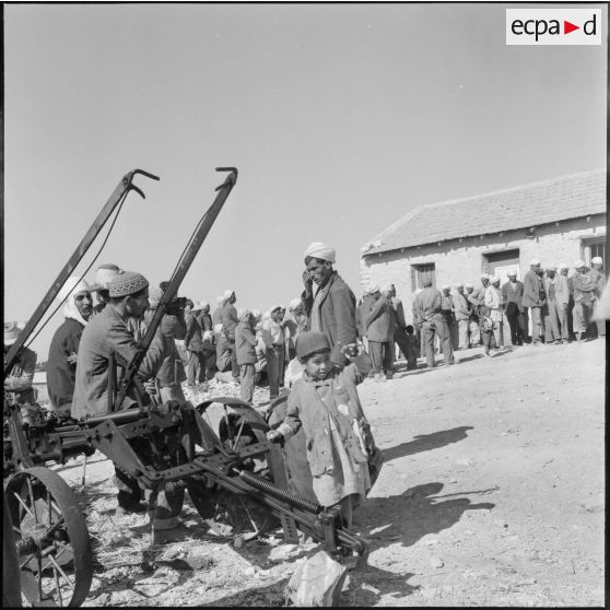 Elections dans l'est constantinois.