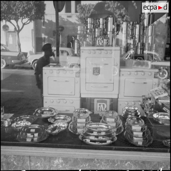 Alger. Décorations de magasins pour le référendum.
