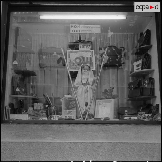 Alger. Décorations de magasins pour le référendum.