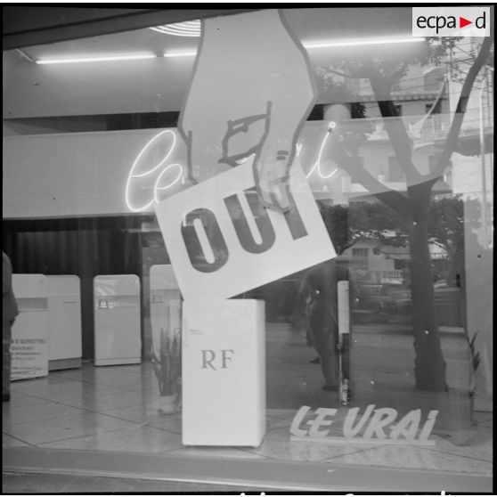 Alger. Décorations de magasins pour le référendum.