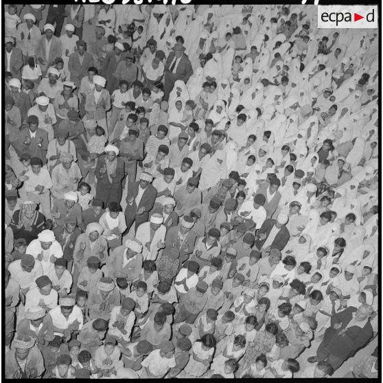 Oran. Rassemblement pour le Oui au référendum.