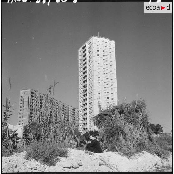 Oran. Construction de nouveaux immeubles.