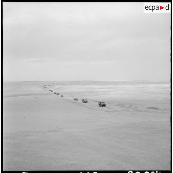 Touggourt. Convoi de véhicules Berliet.