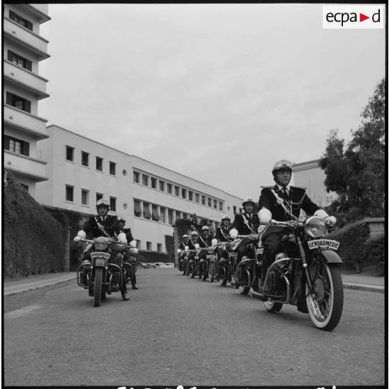 Alger. Entraînement d'une unité de gendarmerie.
