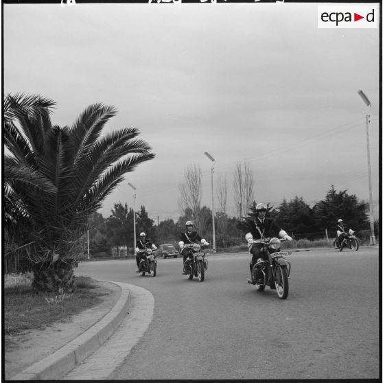 Alger. Entraînement d'une unité de gendarmerie.
