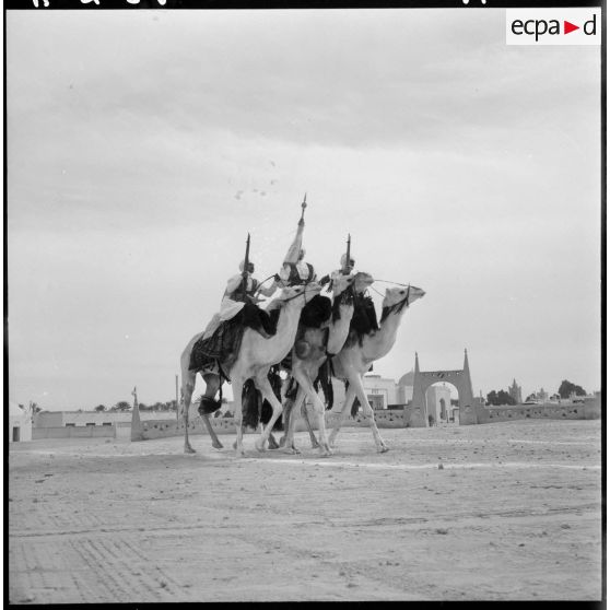 Ouargla. Compagnie méhariste.