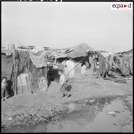 Hussein Dey. Le bidonville.