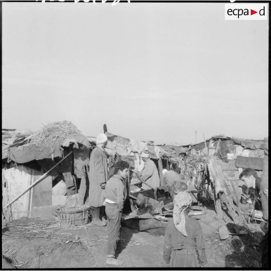 Hussein Dey. Le bidonville.