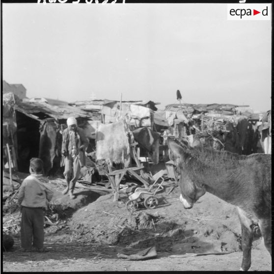 Hussein Dey. Le bidonville.