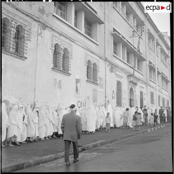Alger. Elections législatives.