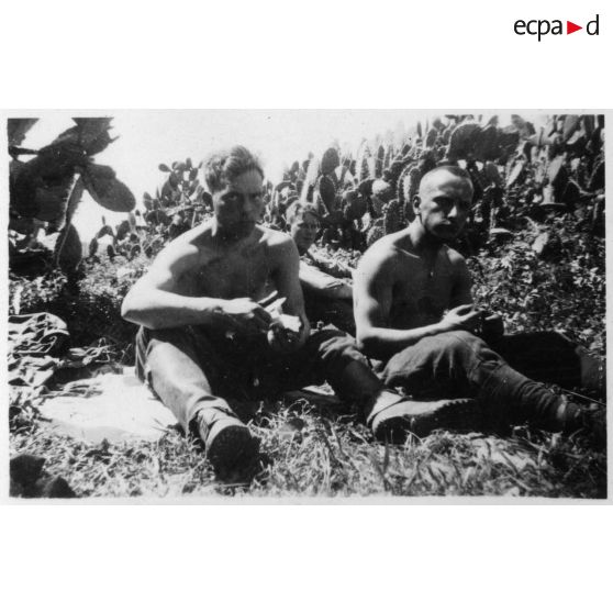 Les frères Groubatch. [légende d'origine]