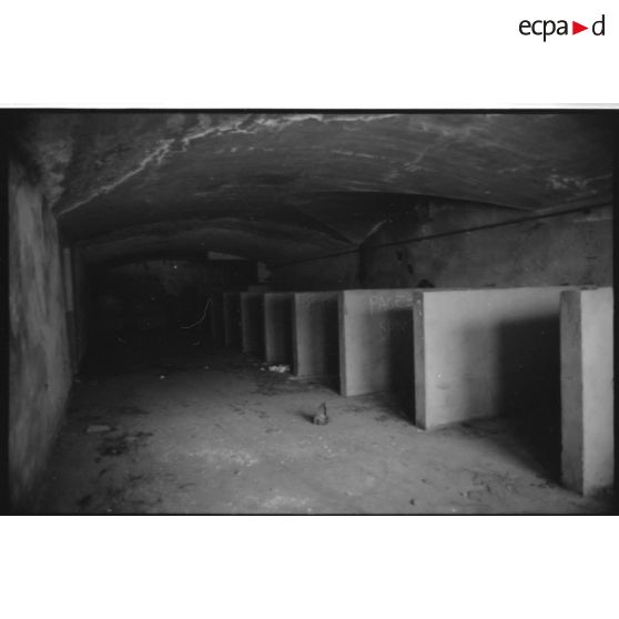 Stalles de l'écurie de l'ancien centre équestre - 1991. [légende d'origine]