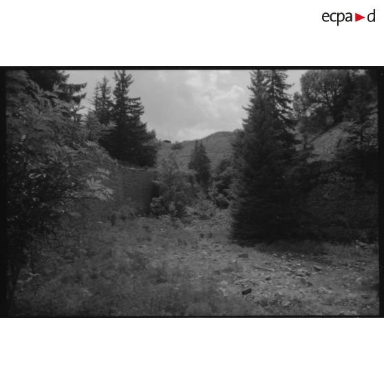 Fort du Saint-Eynard. Fossé et contrescarpe nord - 1991. [légende d'origine]