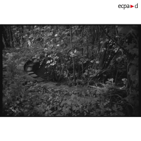 Fort du Mûrier. Plateforme Raguet pour 75 AA - 1991. [légende d'origine]