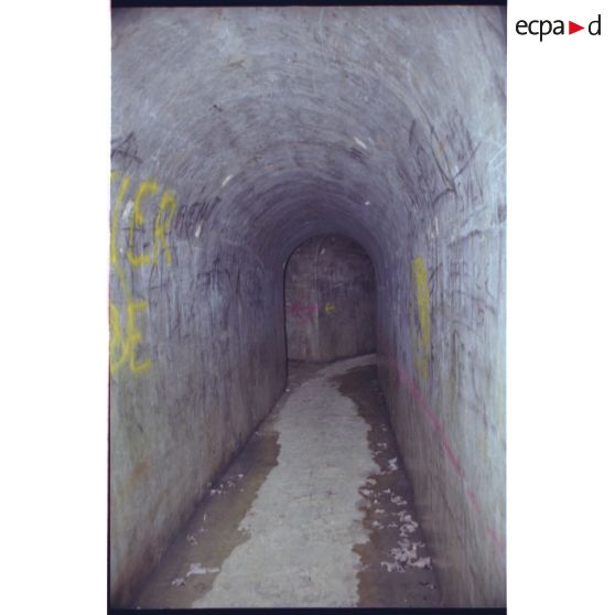 Poudrière du mont de Berru. Couloir d'entrée de la poudrière en ''Y''. [légende d'origine]