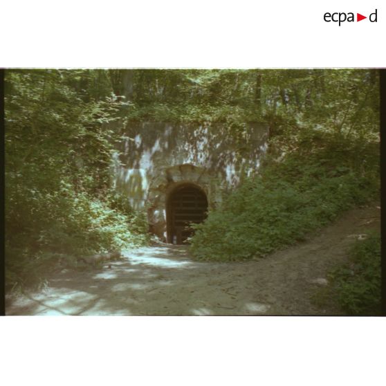 Poudrière du mont de Berru. La poudrière devenue refuge L.P.O. pour les chauve-souris. [légende d'origine]