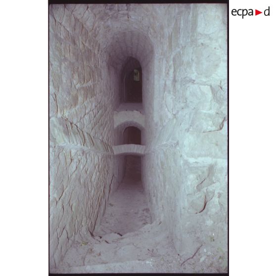 Fort de Saint-Thierry. [légende d'origine]