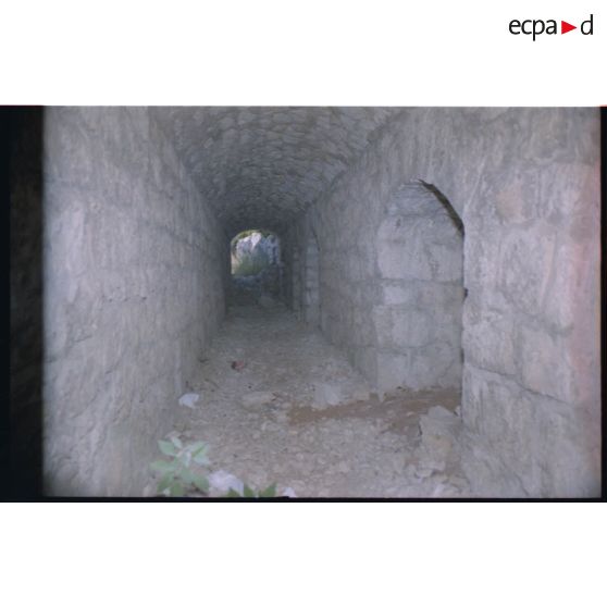 Fort du Gros Cerveau. Galerie joignant les emplacements de tir équipés de niches à munitions. [légende d'origine]