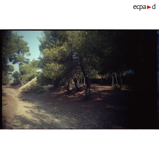 Vestiges de la batterie annexe. [légende d'origine]