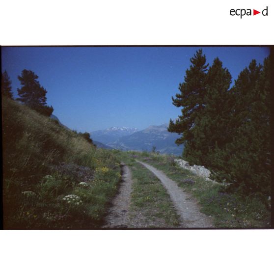 Le massif des Ecrins vu de la piste d'accès au fort. [légende d'origine]